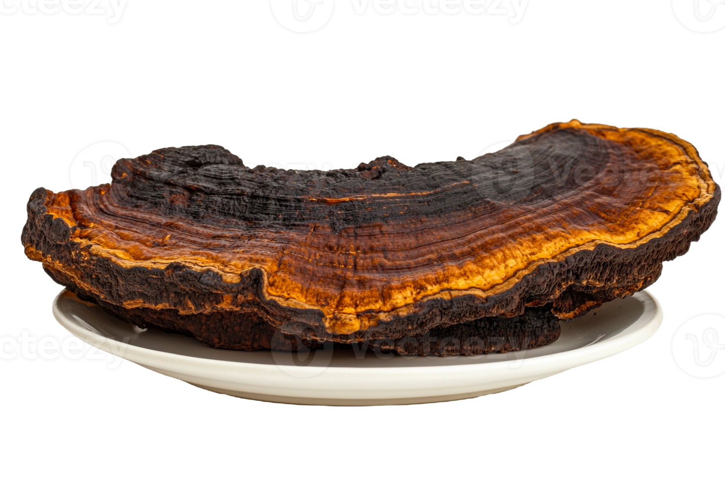 A Plate with Chaga Mushroom Pieces png