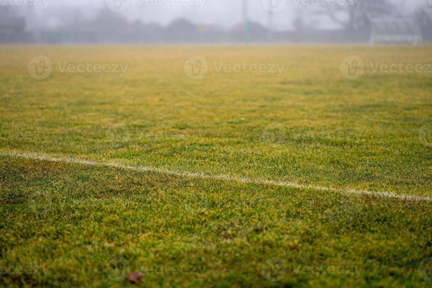 View of green grass on a street football field in early spring. photo