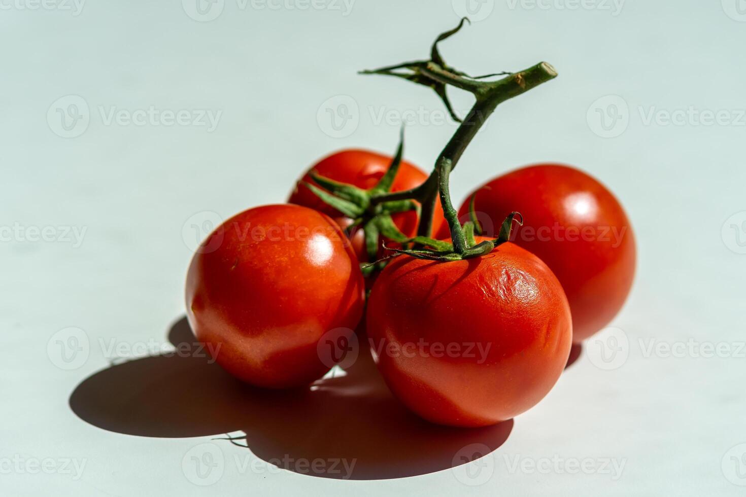 Four red ripe tomatoes on one green branch photo