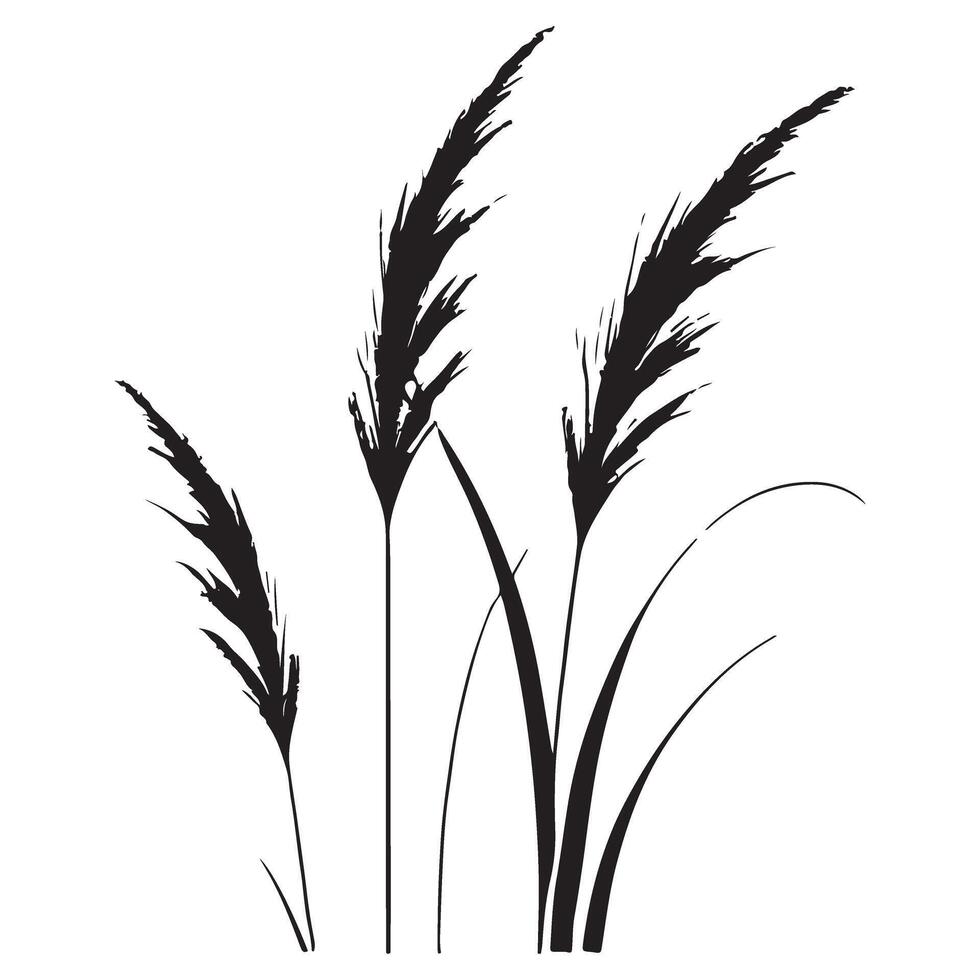 Ornamental Grass Silhouette Illustration Design art vector
