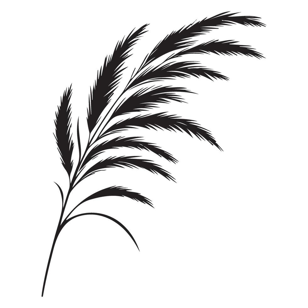 Silhouette Illustration of Elegant Pampas Grass vector