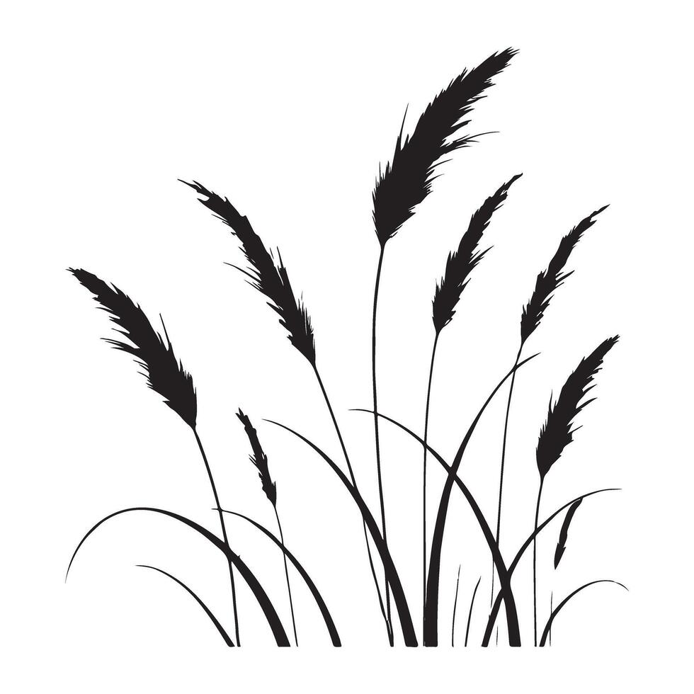 Detailed Ornamental Grass Silhouette Art vector