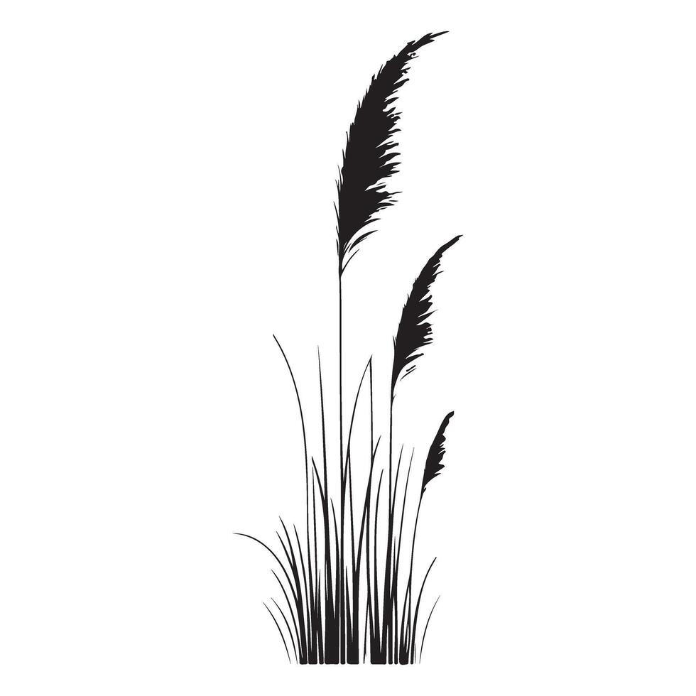 Elegant Ornamental Grass Silhouette Graphic vector