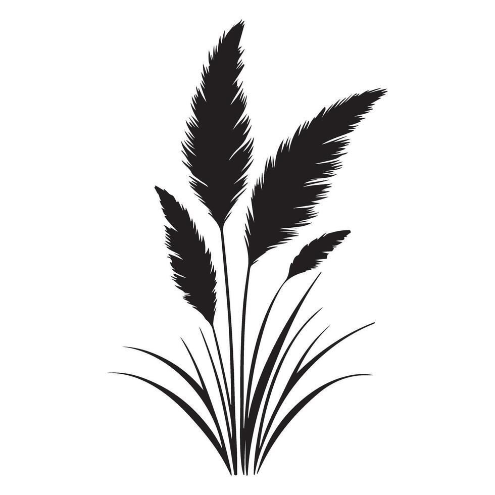 Silhouette Illustration of Lush Pampas Grass vector