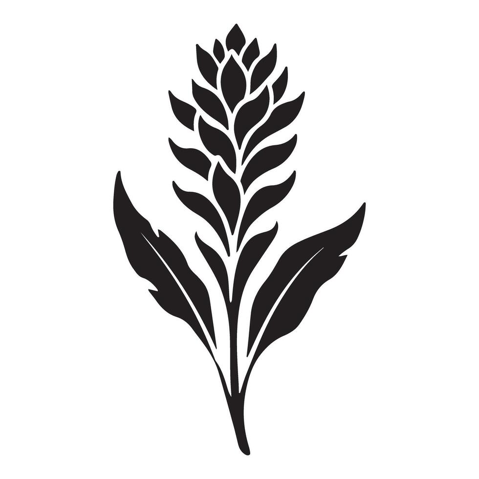 Tropical Ginger Flower Silhouette Illustration vector