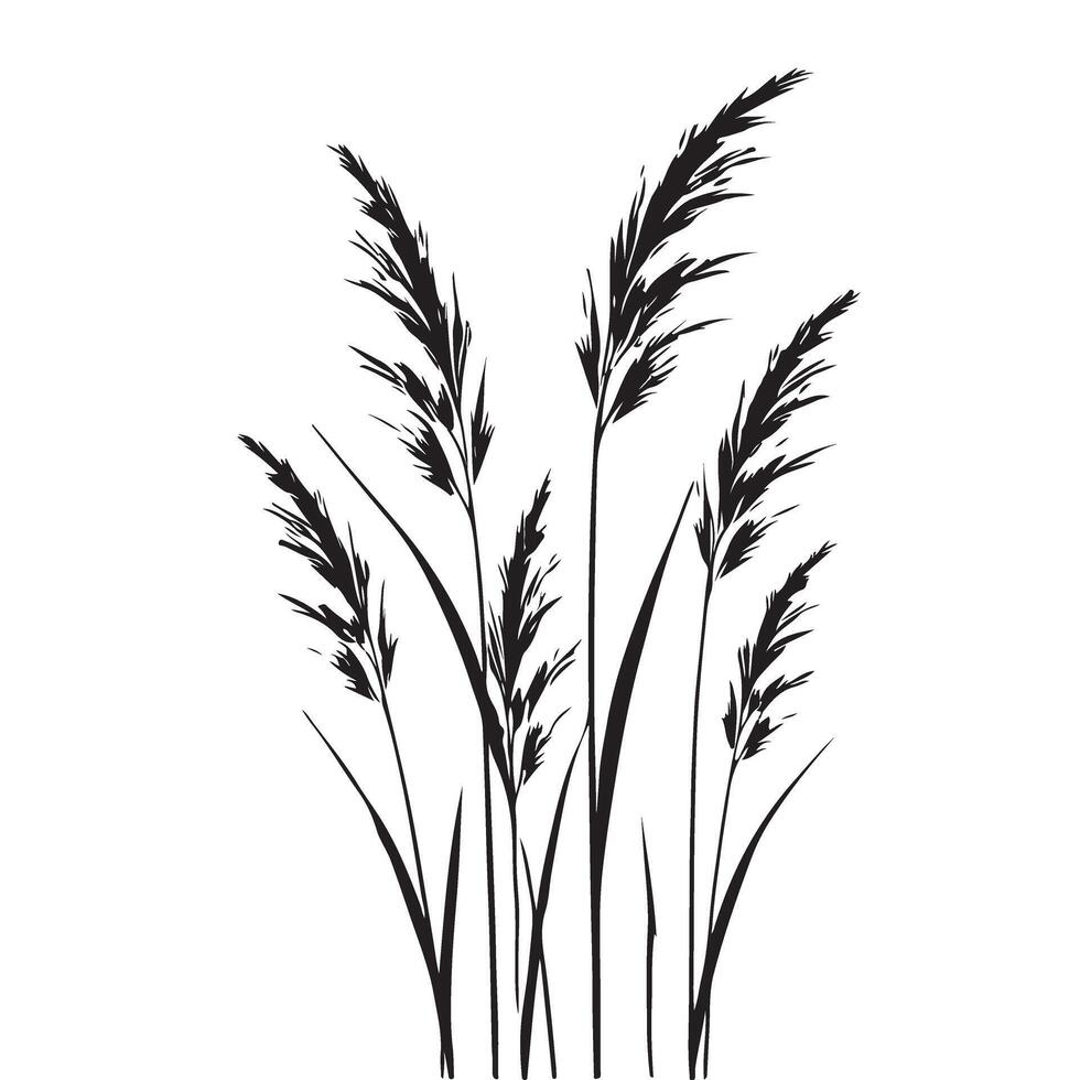 Elegant Black Silhouette Grass Illustration for Design Projects vector
