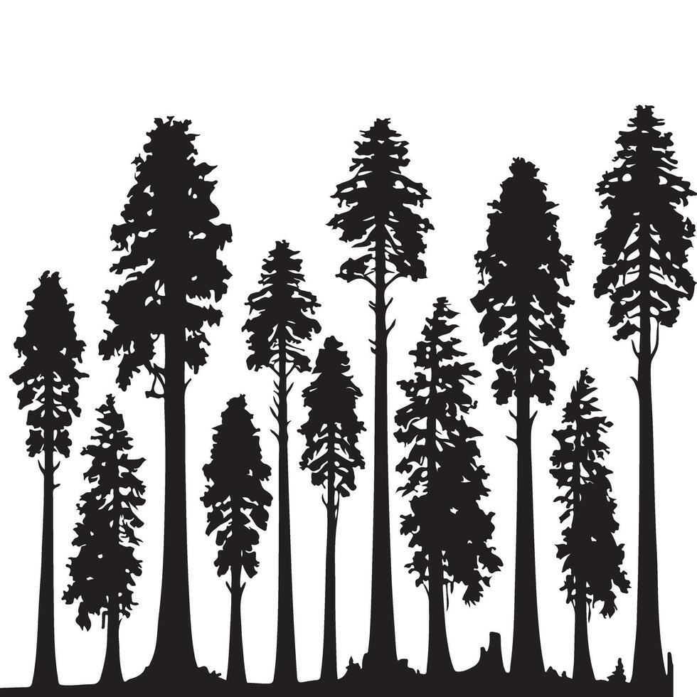 Silhouette Illustration of Majestic Redwood Trees in a Forest vector