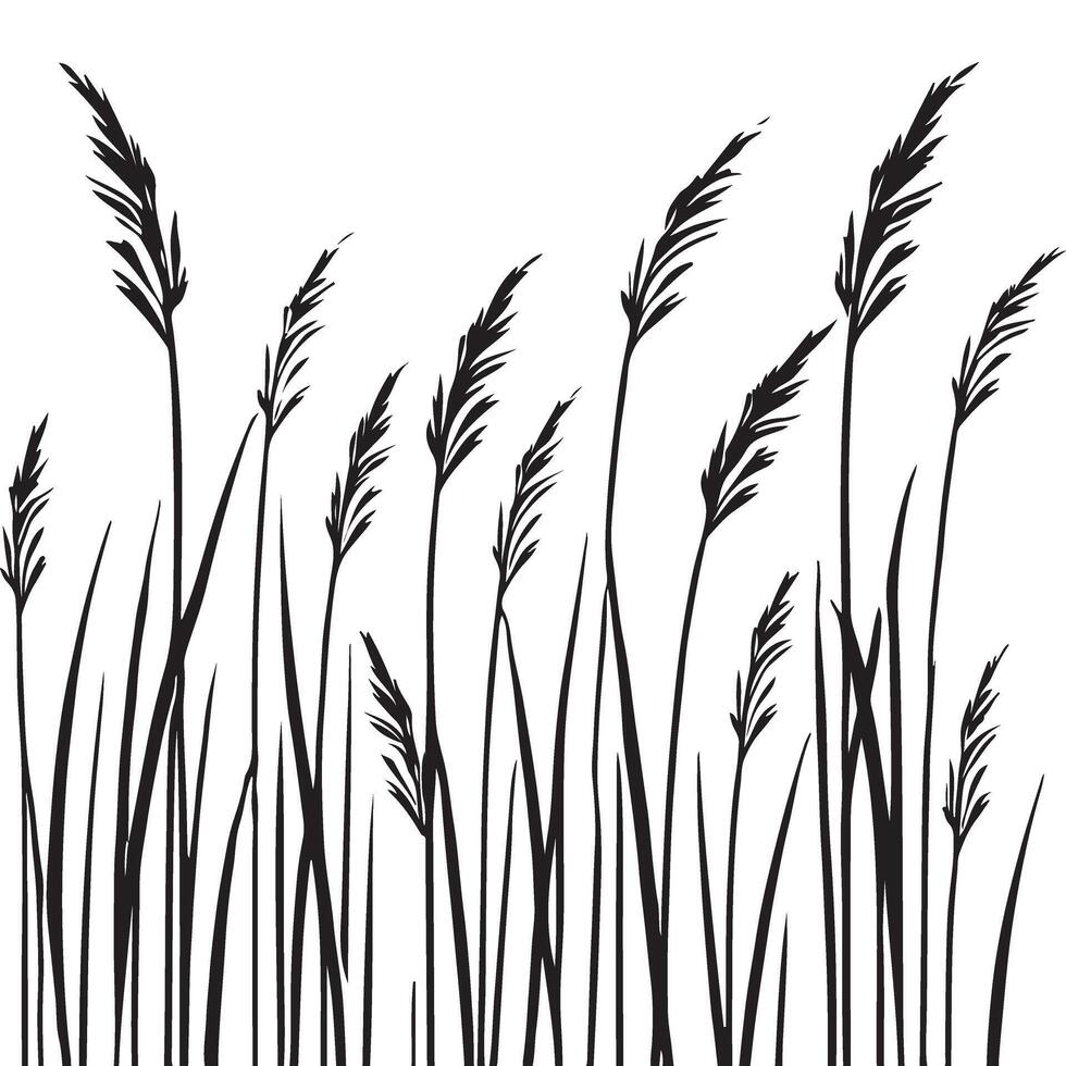 Silhouette Illustration of Tall Grass in the Breeze vector