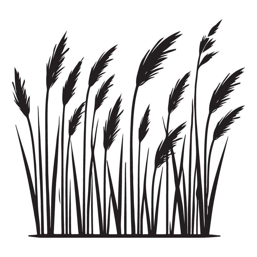 Silhouette of Tall Grass Blowing in the Wind Illustration vector