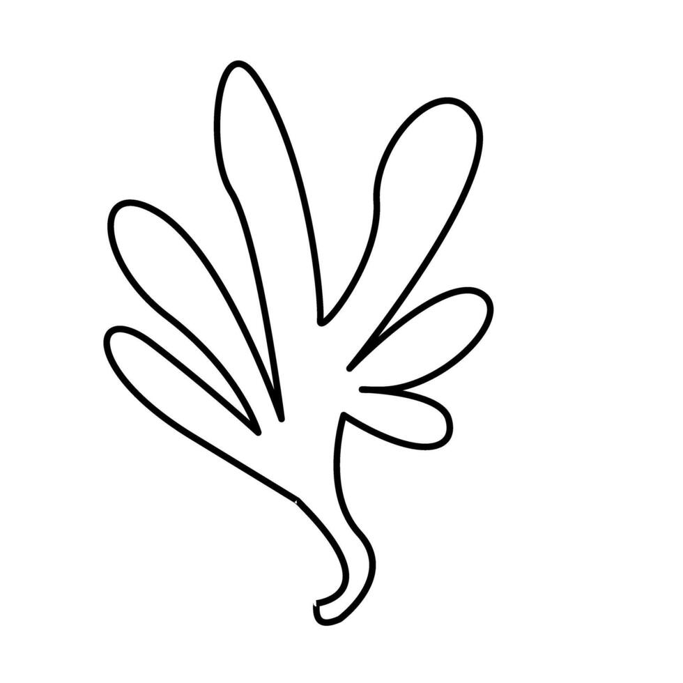 A black and white drawing of a leaf vector
