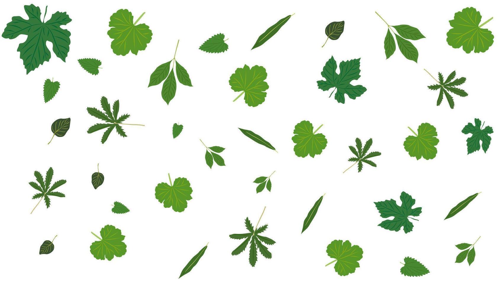 Abstract green leaves spring, summer background with different shapes leaves flying, falling. Overlay, banner, cover vector