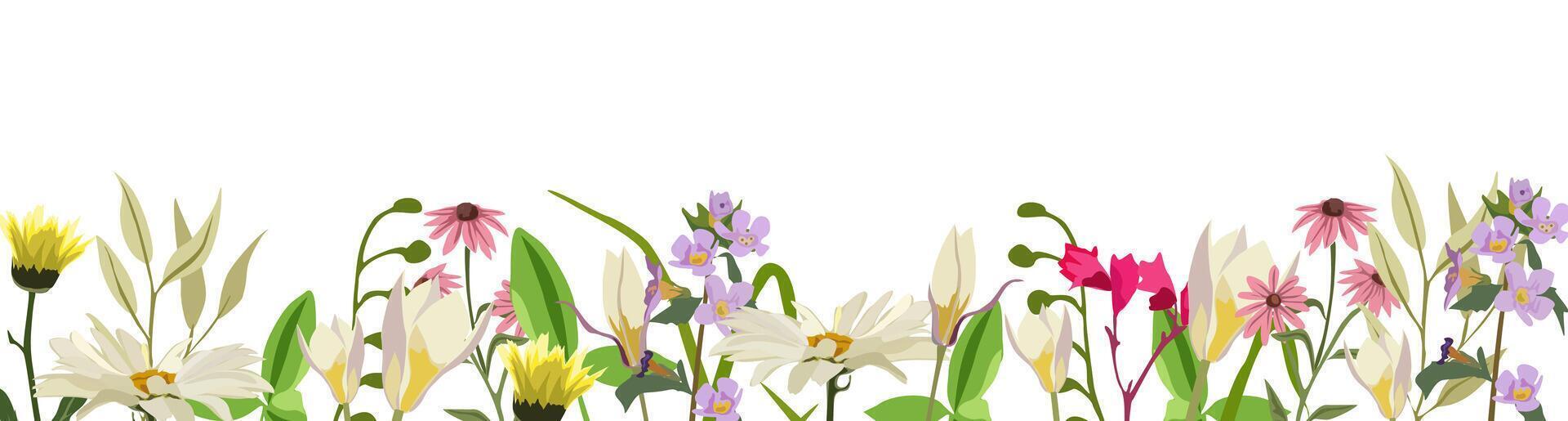 Floral banner, border, backdrop, overlay with gorgeous multicolored blooming wild flowers and leaves vector