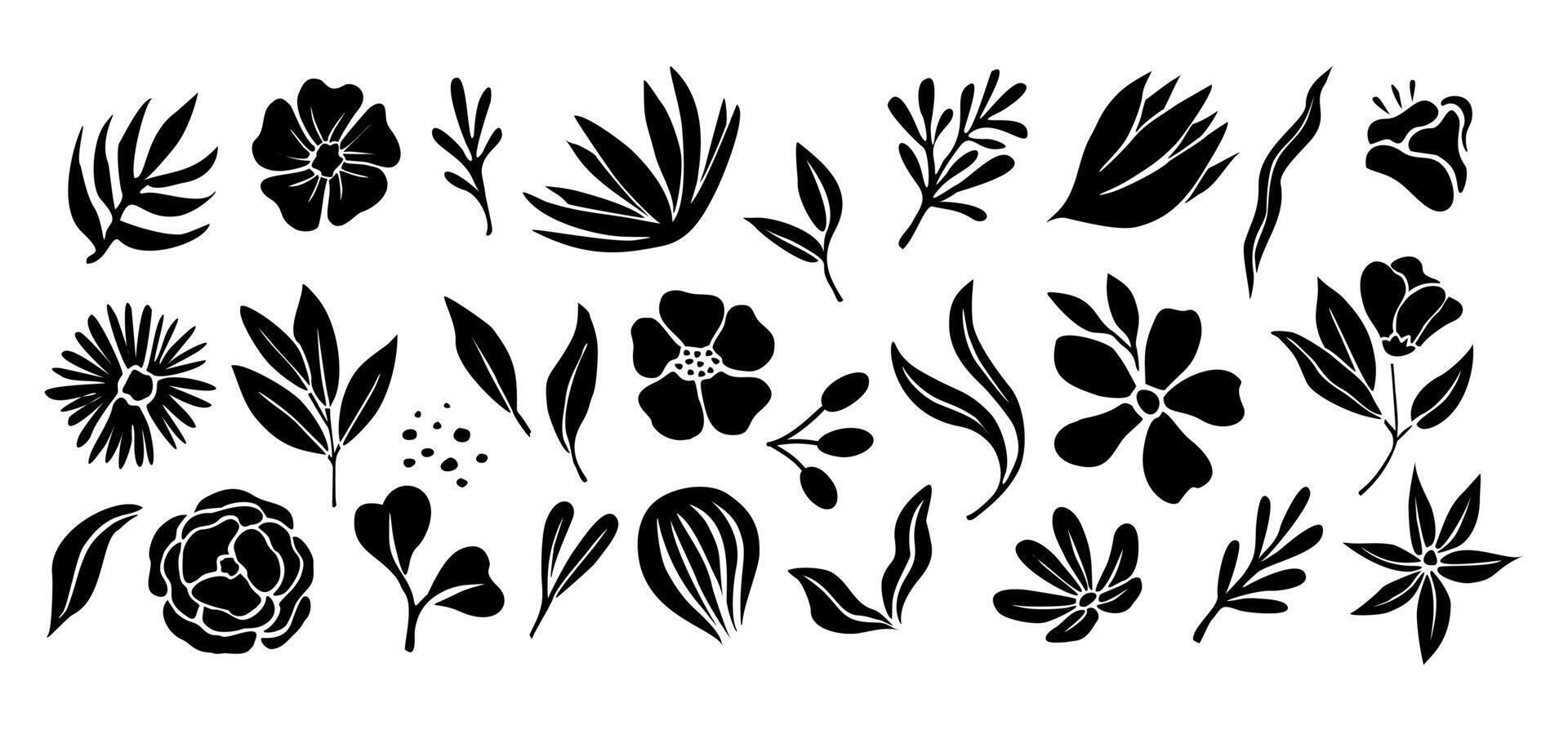 Set of flower and leaves silhouettes. Hand drawn floral design elements, icons, shapes. Wild and garden flowers, leaves black and white outline illustrations isolated on white background vector