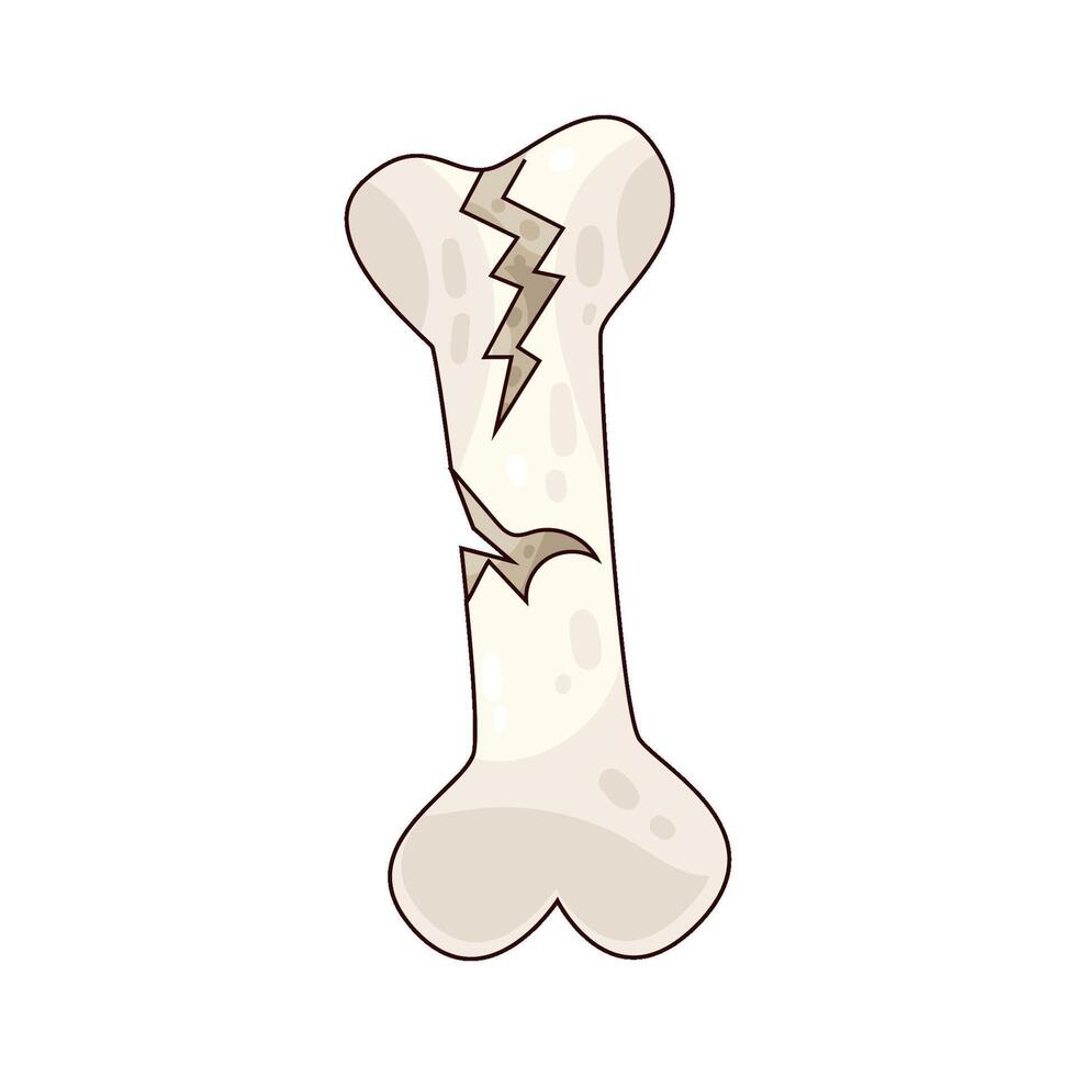 broken bone illustration vector
