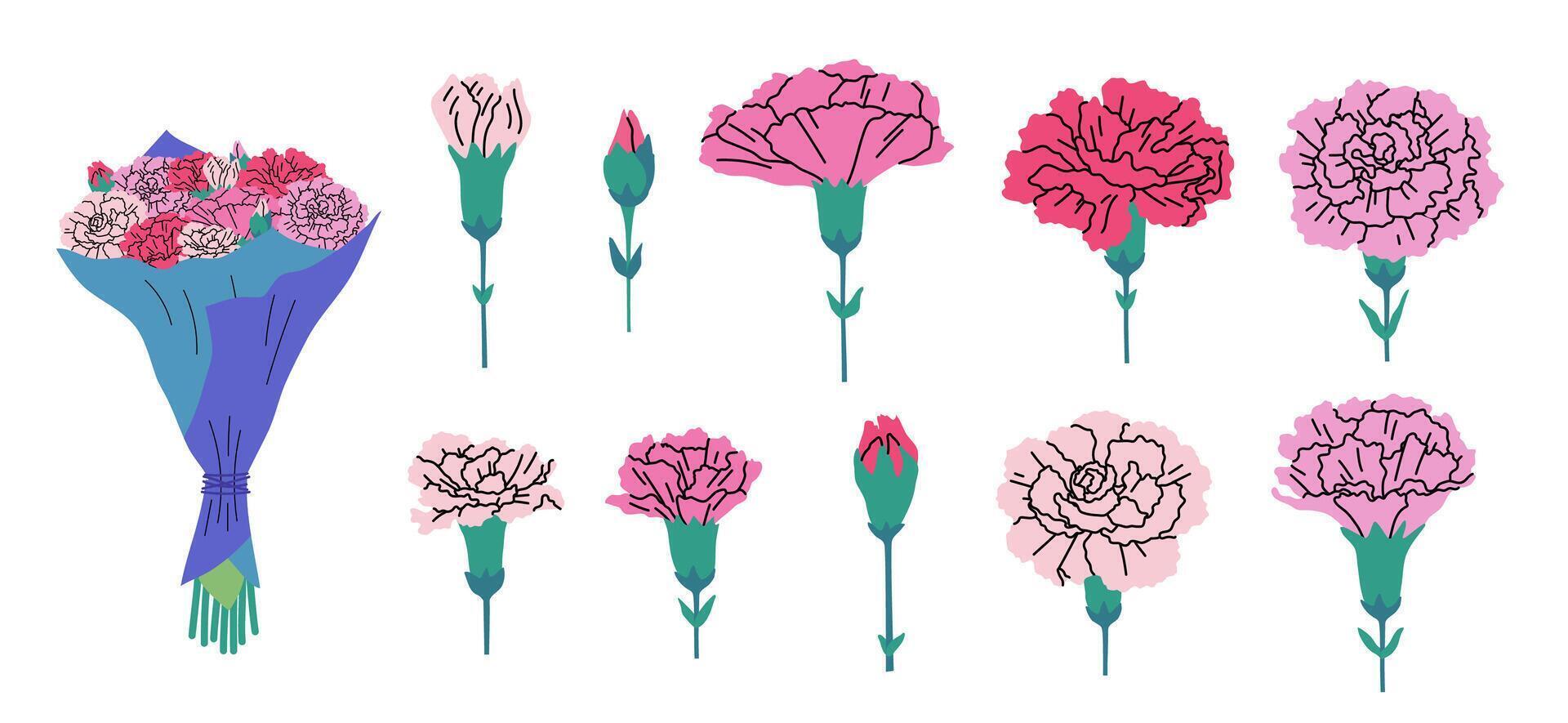 Cartoon Color Different Carnation Set Symbol of Mothers Day. vector