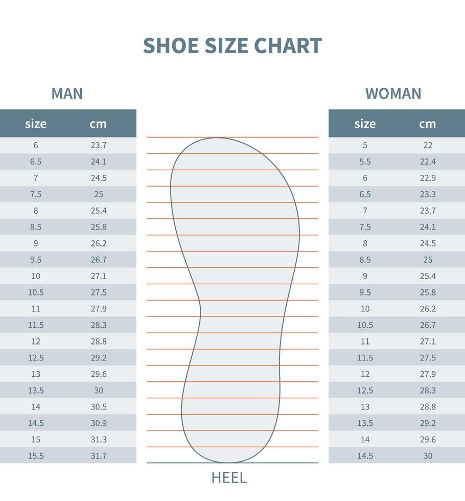 An Man and Woman Shoes or Socks Size Chart. vector