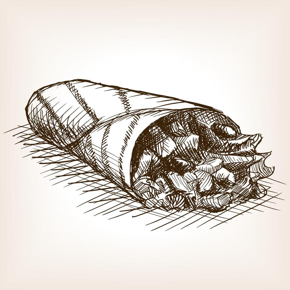 Burrito sketch style illustration. Old engraving imitation. Burrito hand drawn sketch imitation vector