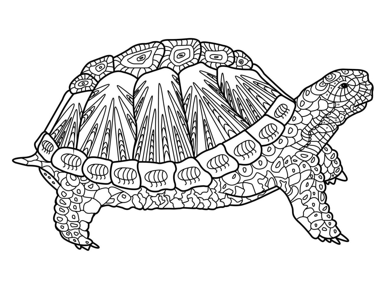 Turtle coloring book for adults illustration. Anti-stress coloring for adult. Zentangle style. Black and white lines. Lace pattern vector