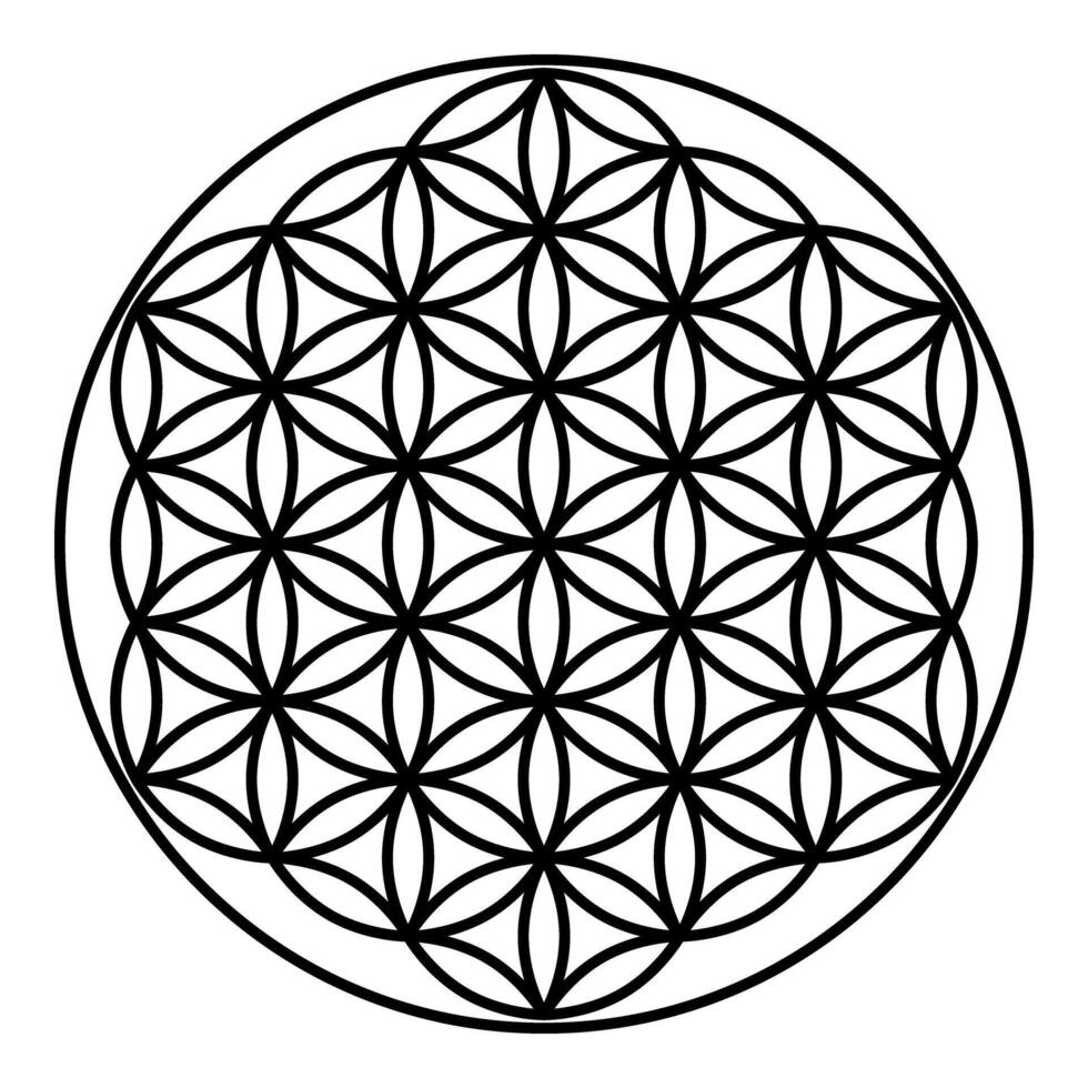 Flower of life Sacred geometry contour outline line icon black color illustration image thin flat vector