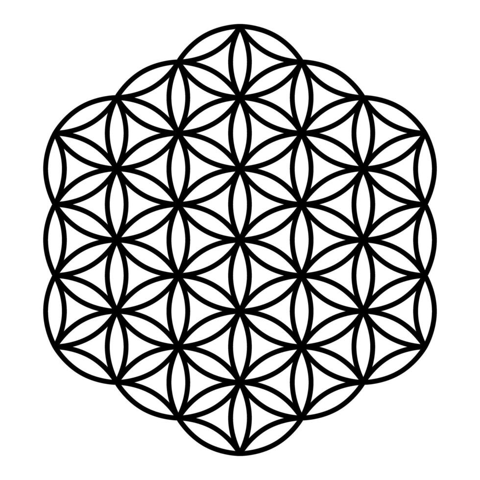 Flower of life Sacred geometry contour outline line icon black color illustration image thin vector