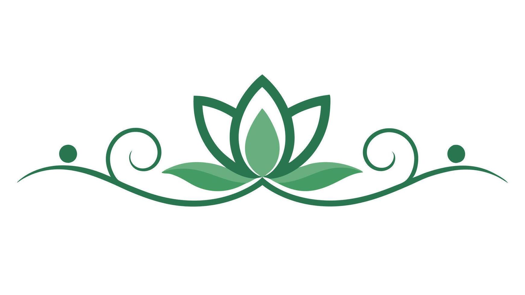 Stylish Botanical Elements Artistic Borders and Patterns vector