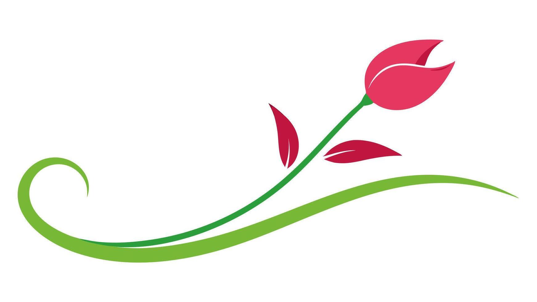 Stylish Botanical Ornament Elements for Artistic Borders Patterns vector