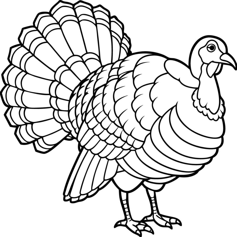 Thanks giving turkey line art for coloring pages vector