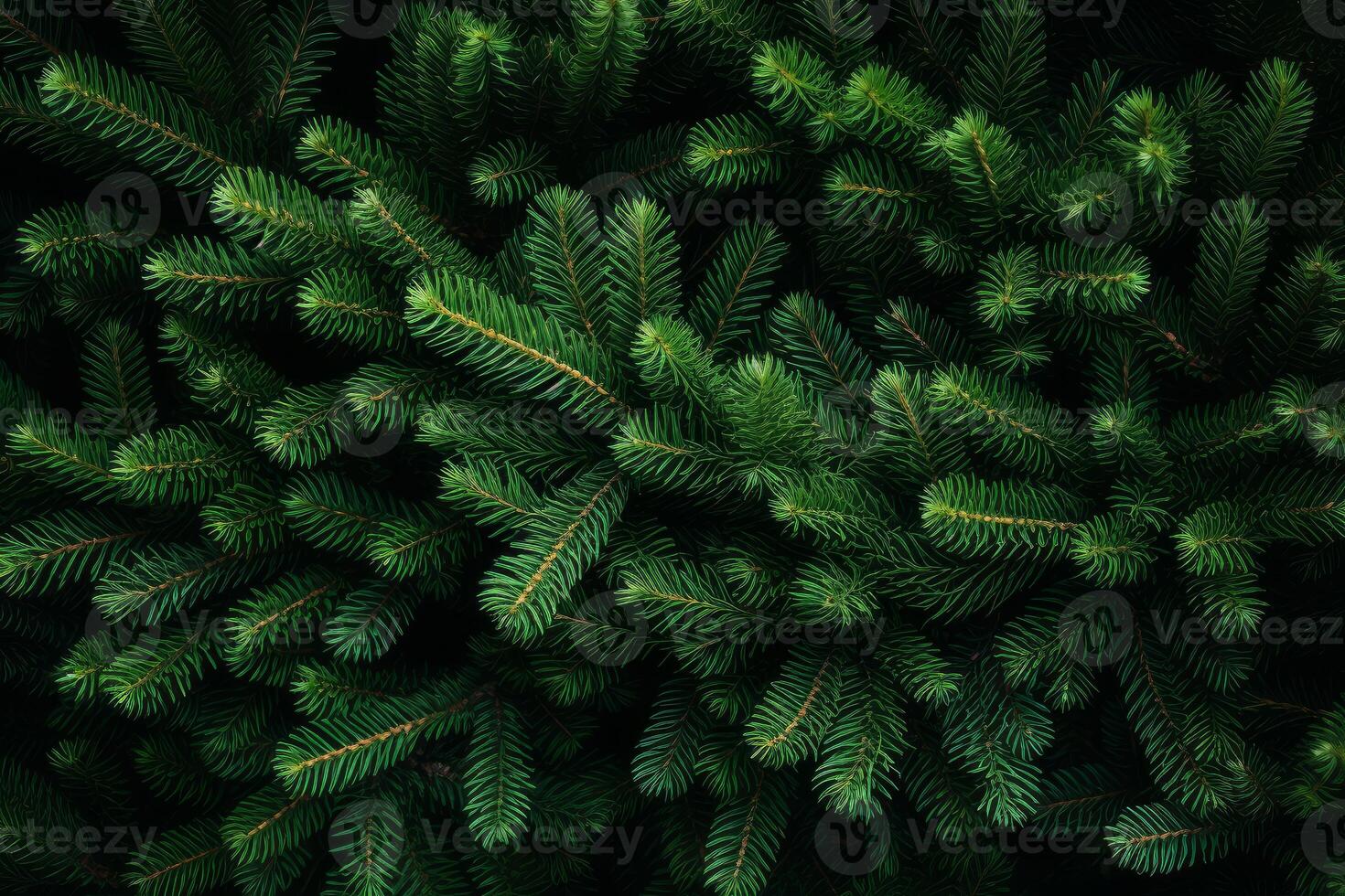 Christmas tree branches creating festive green background photo