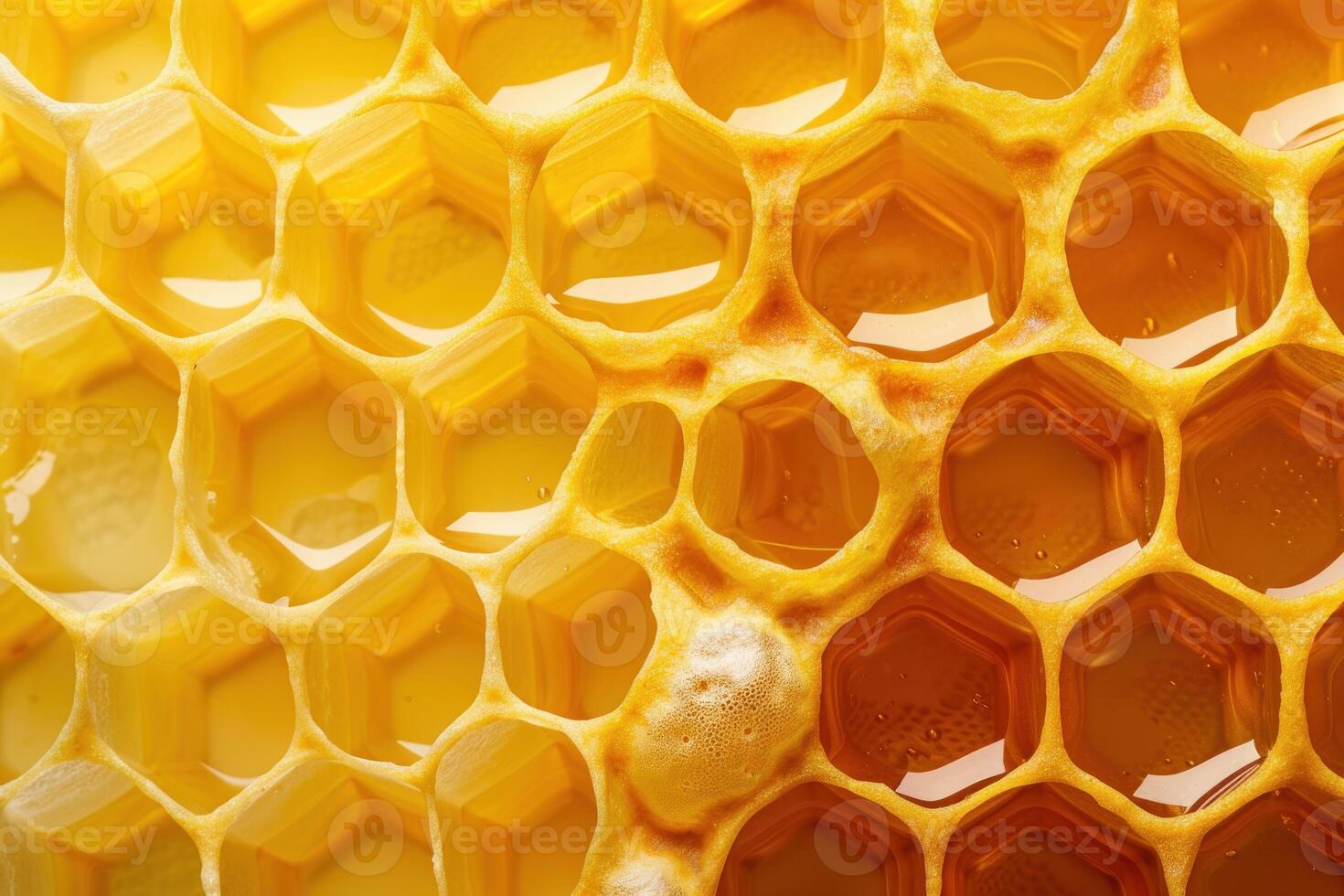 Golden honeycomb filled with nectar reflecting light, close up of beeswax structure photo