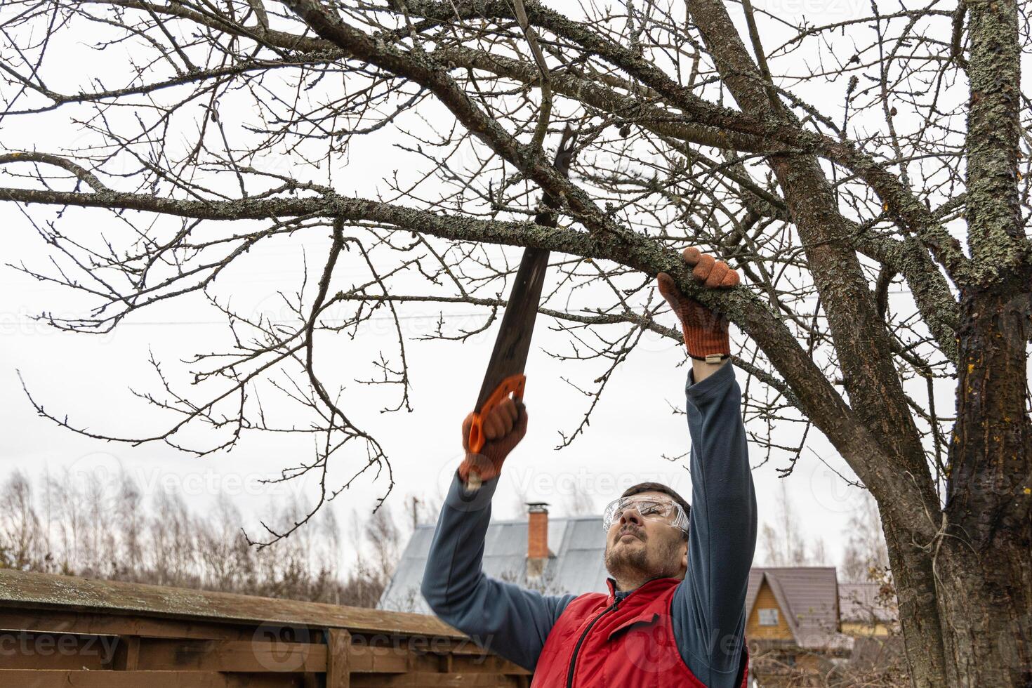 Pruning trees in an autumn garden. Close-up of hands with a saw cutting old branches. photo