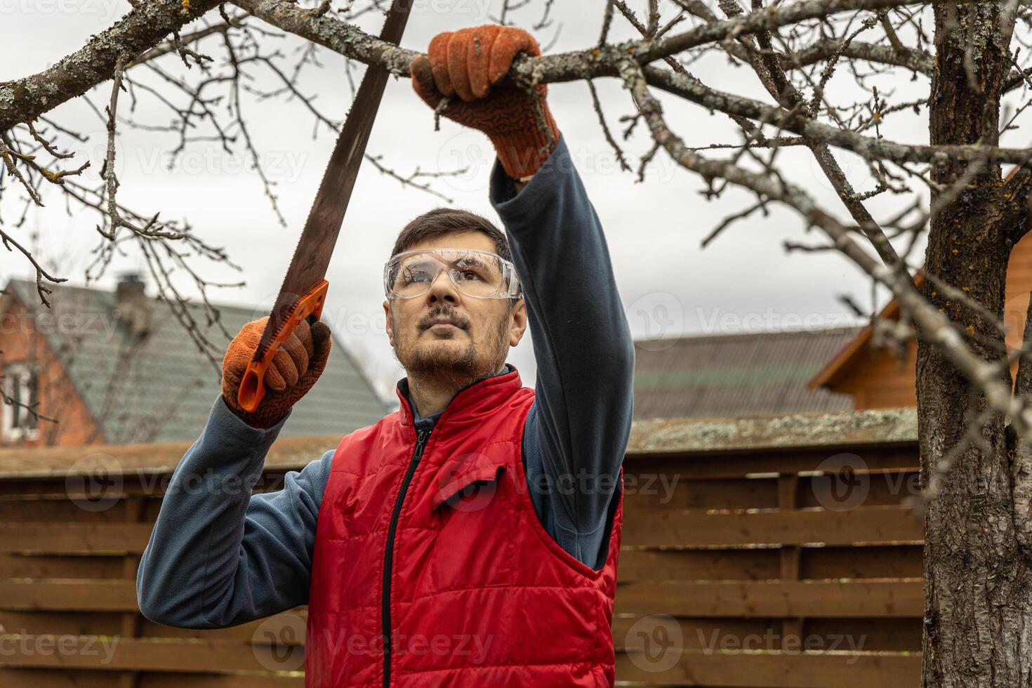 Pruning trees in an autumn garden. Close-up of hands with a saw cutting old branches. photo