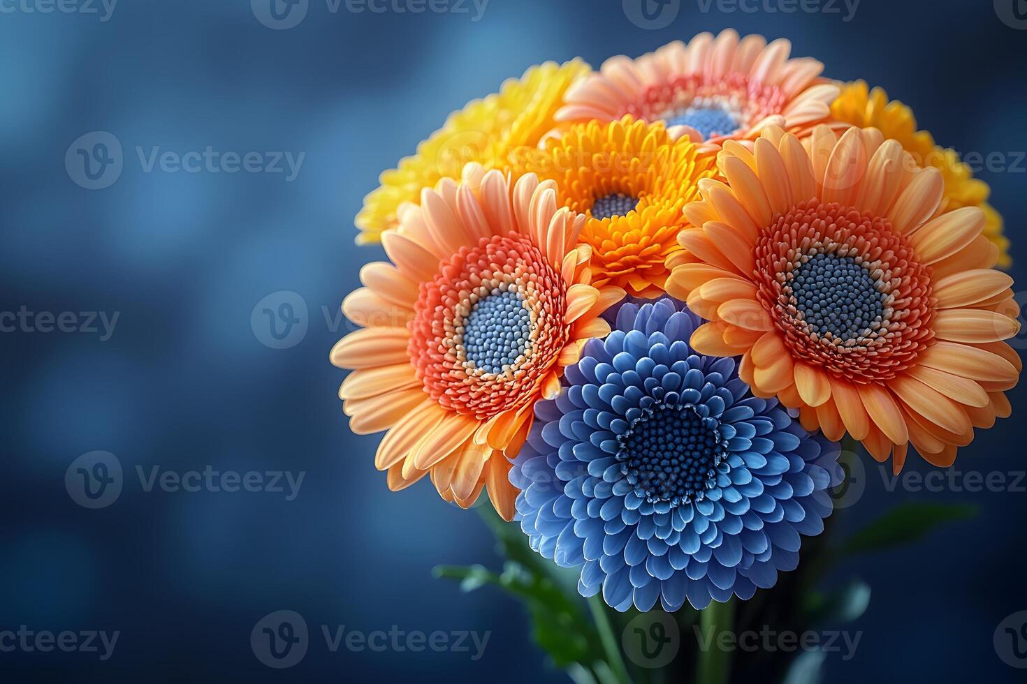 Vibrant Bouquet of Orange and Blue Gerbera Daisies Against Soft Bokeh Background photo