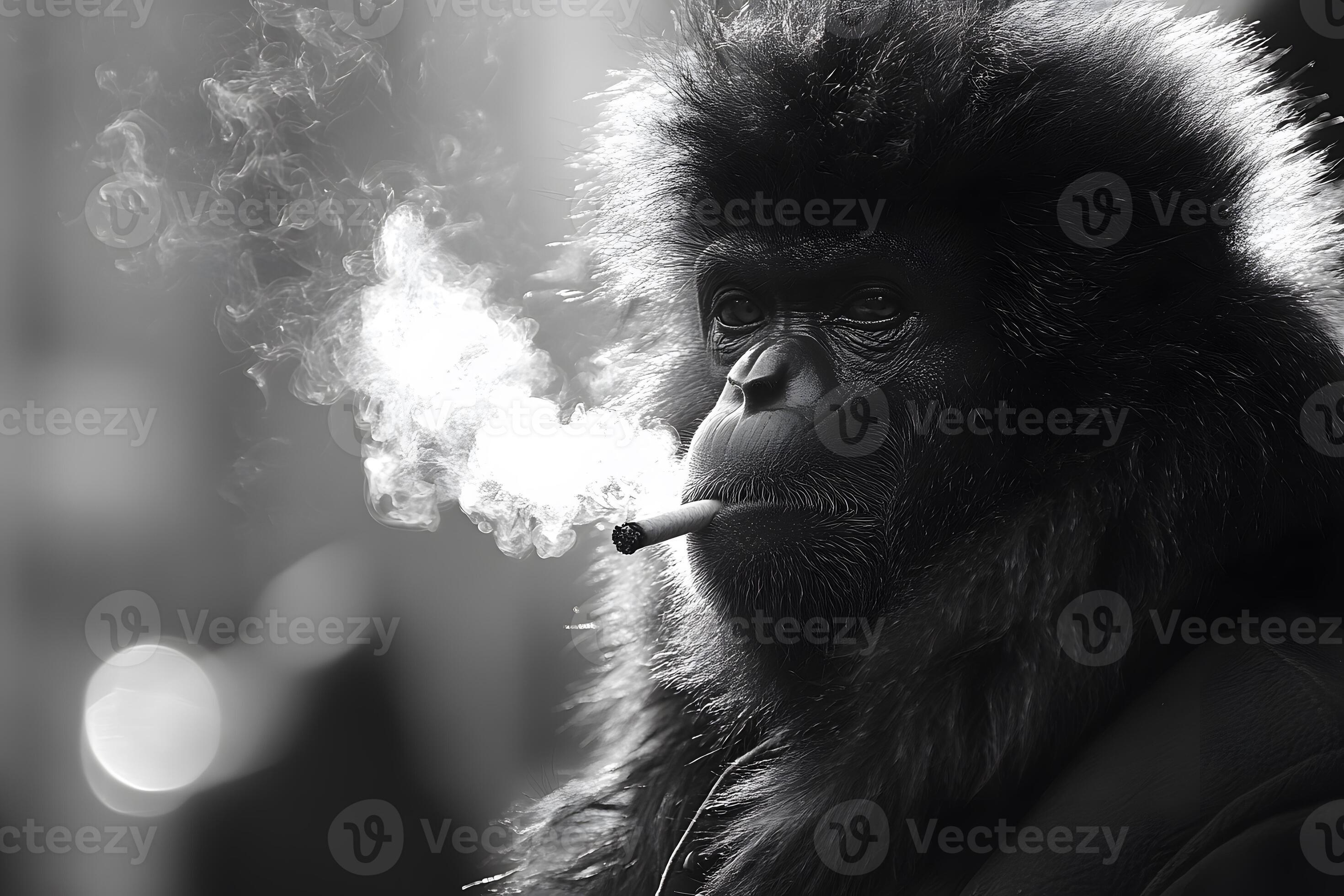surreal-monkey-smoking-a-