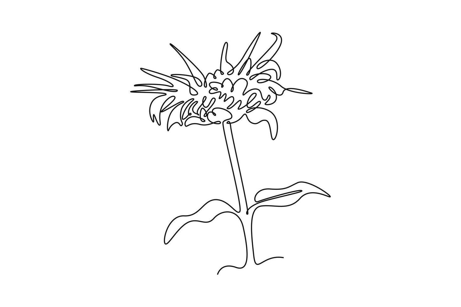 Continuous one line drawing beauty fresh monarda for garden logo. Decorative horsemint oswago tea flower concept for floral invitation card frame vector