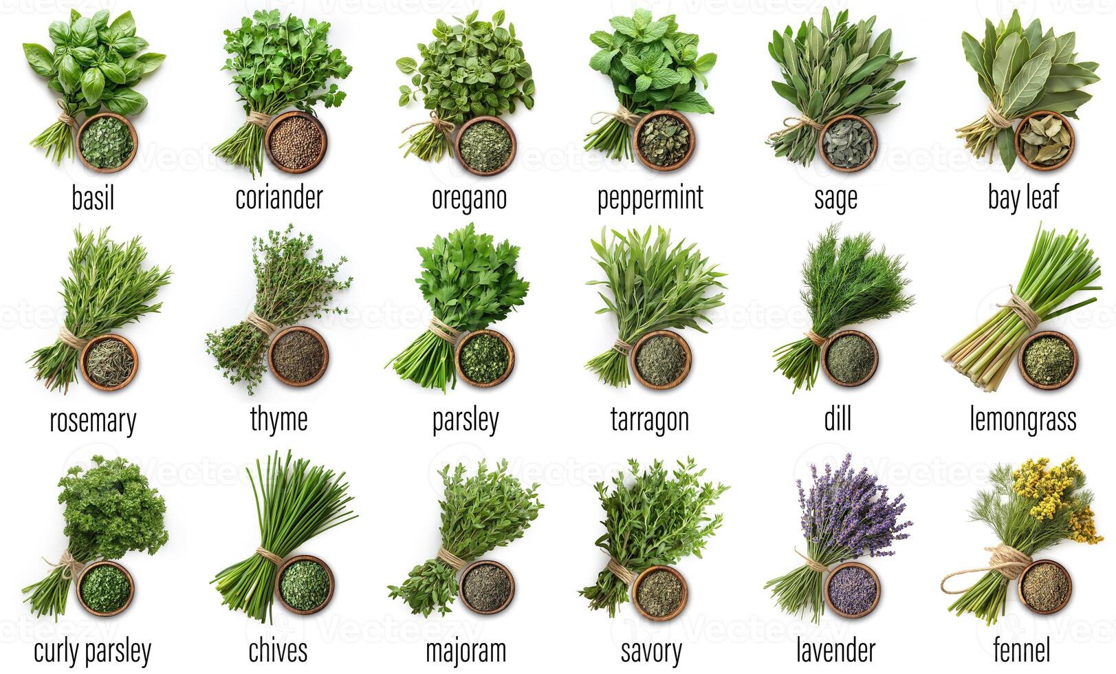 big set collection of fresh sprig branch or bunch of herb like basil oregano with wooden bowl filled with dried seeds or chopped leaves isolated white background photo