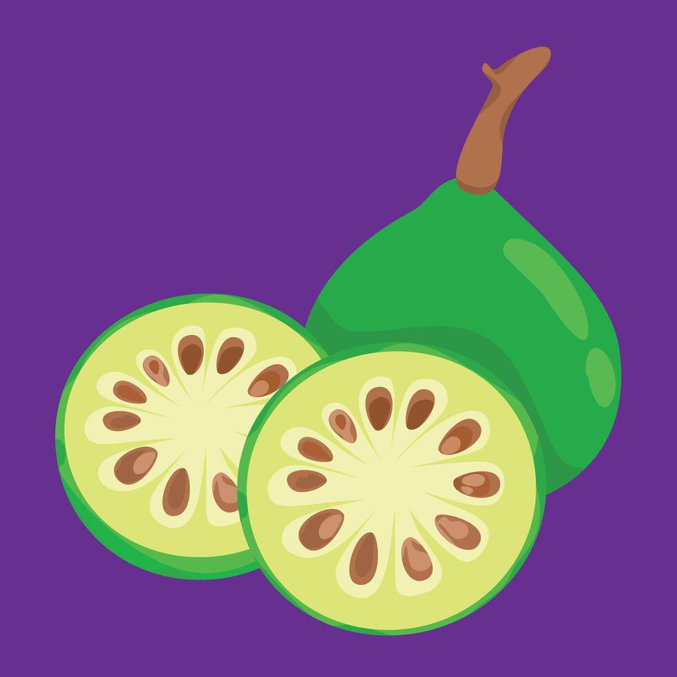 bael fruit fresh flat design fruit exotic and fresh fruits vector