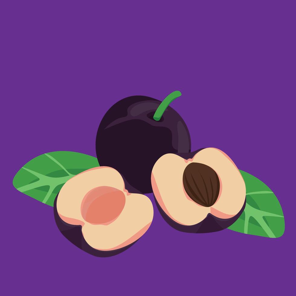 plum fruit fresh tropical fruit exotic vector