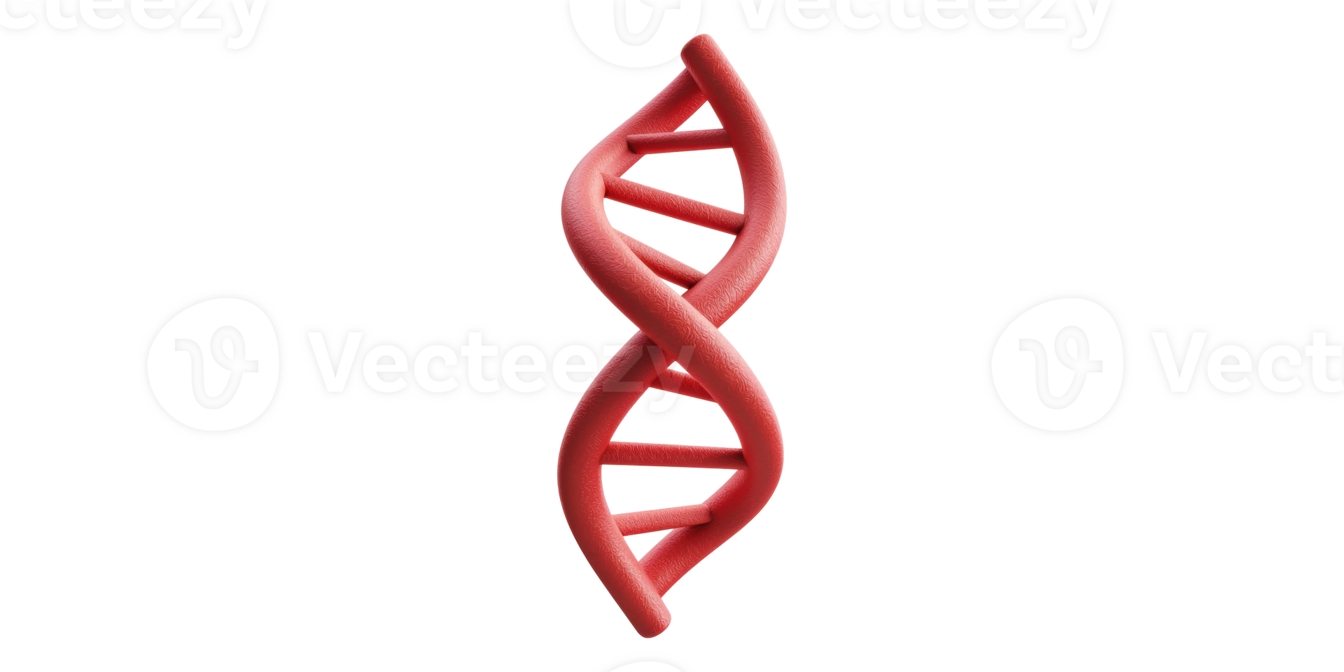 Red dna helix model isolated on transparent background png