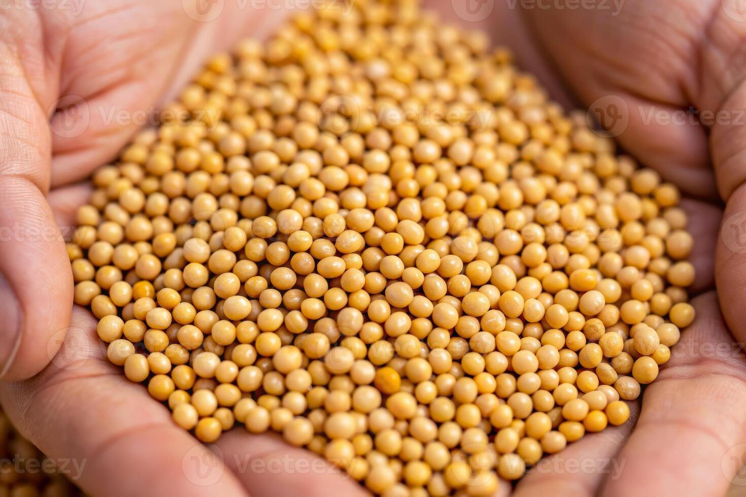 Close-up view of a person's hand holding seeds nature setting organic content hands-on perspective seed growth concept photo