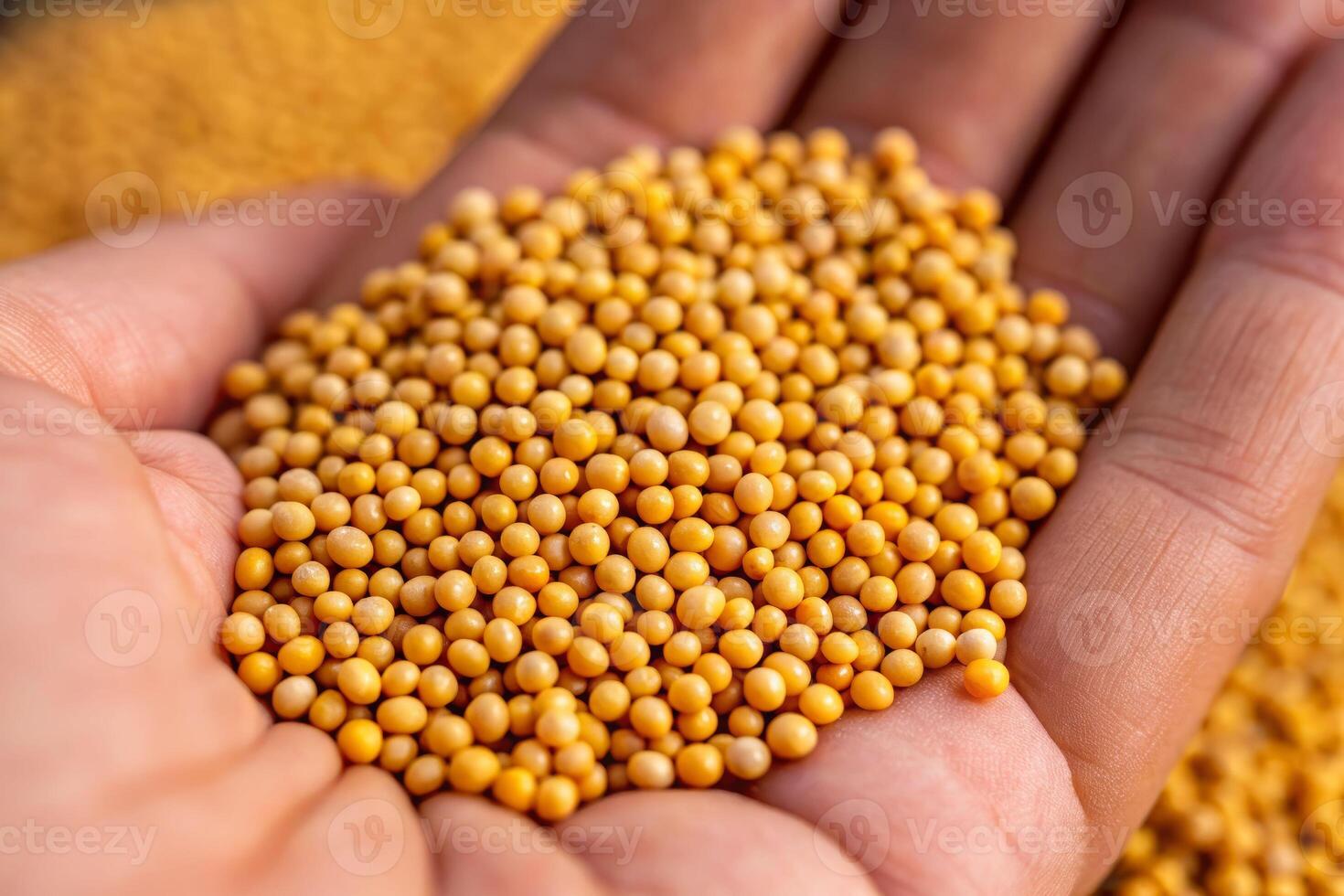 Cultivating growth close-up view of a person's hand holding seeds agricultural field nature photography bright environment photo