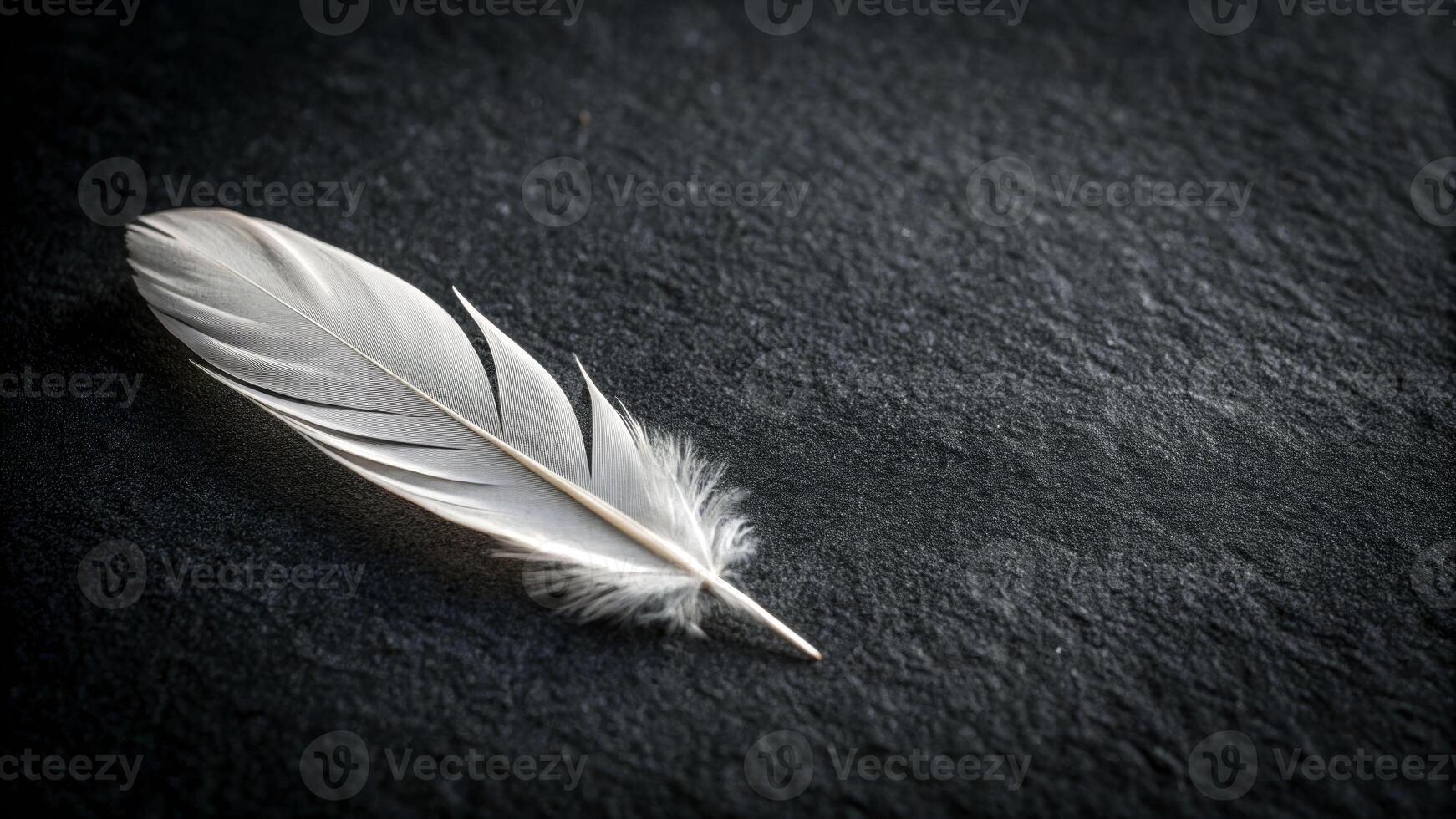 A single white feather symbolizing death dark textured surface still life minimalist close-up concept photo