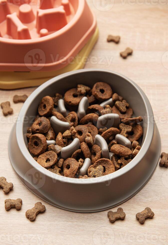 Slow colorful feeder dog bowls preventing gulping and improving digestion photo