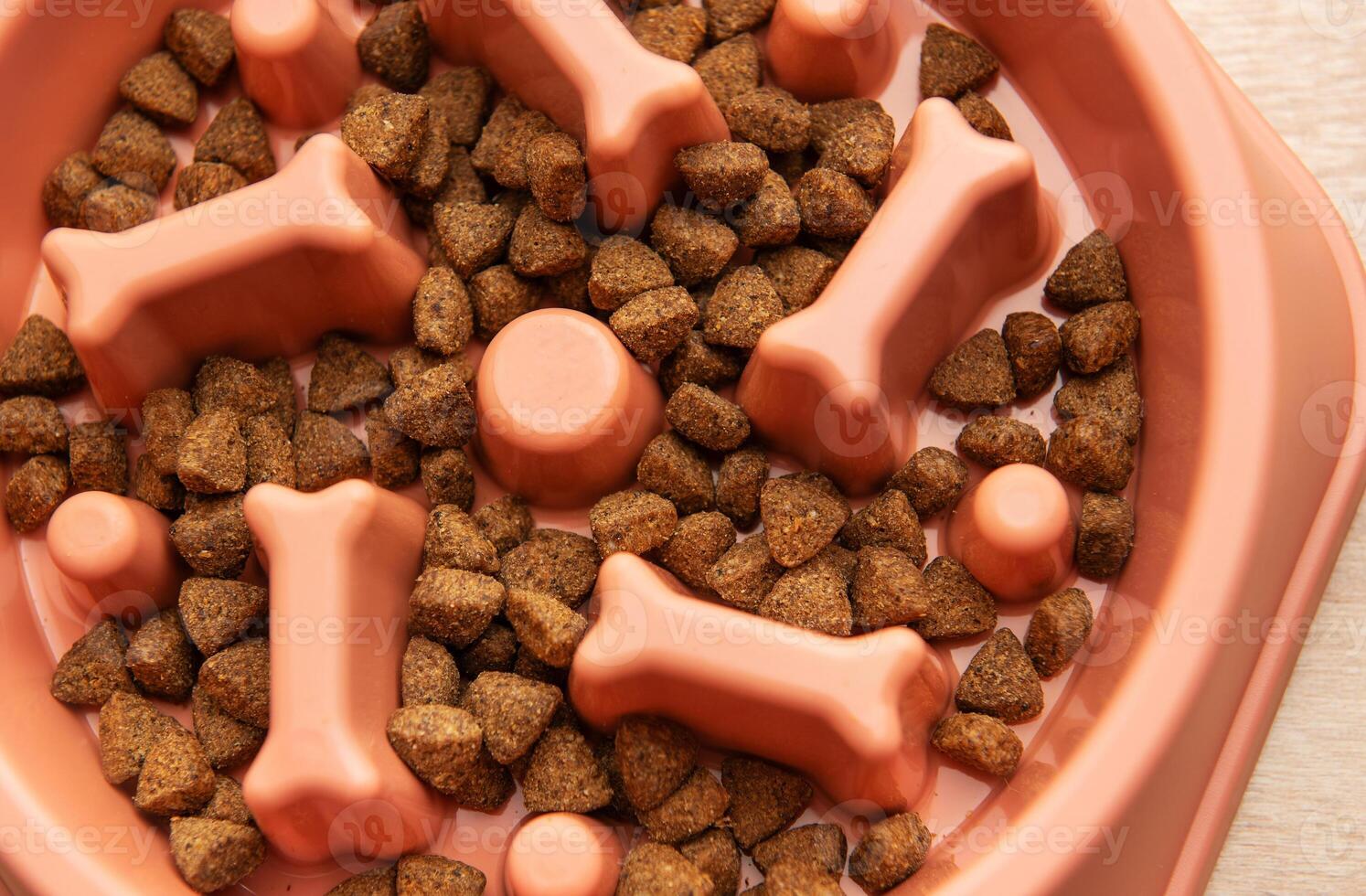 Dry dog food in a slow feeder bowl preventing gulping photo