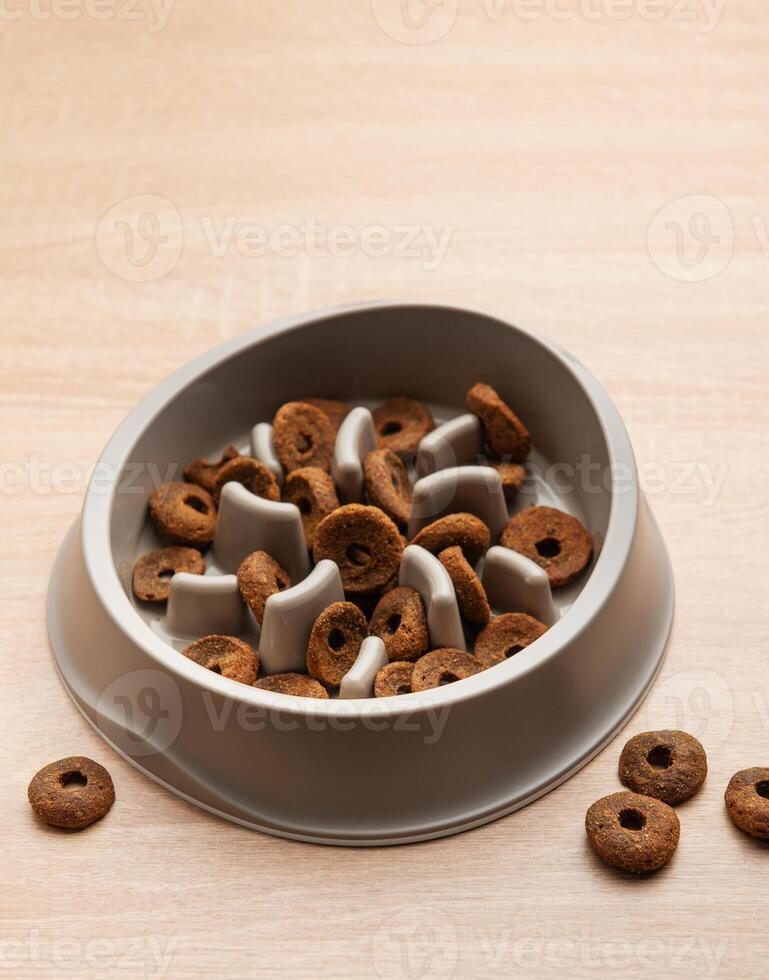 Slow feeder dog bowl and food preventing gulping and improving digestion photo