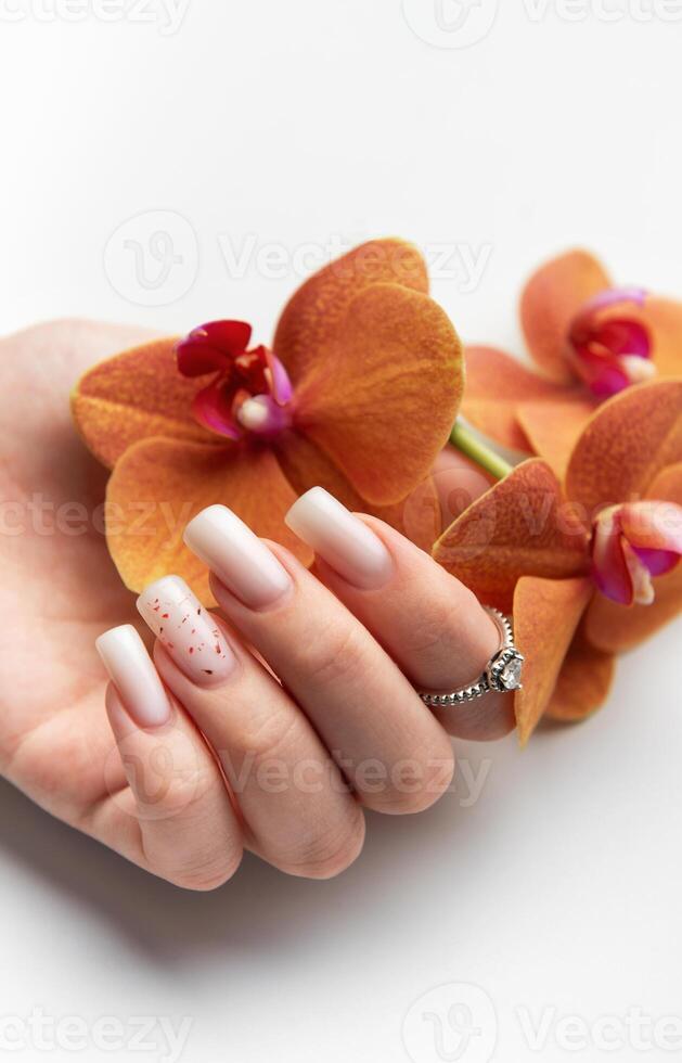 Woman hand with stylish trendy nude manicure holding orchid flower photo