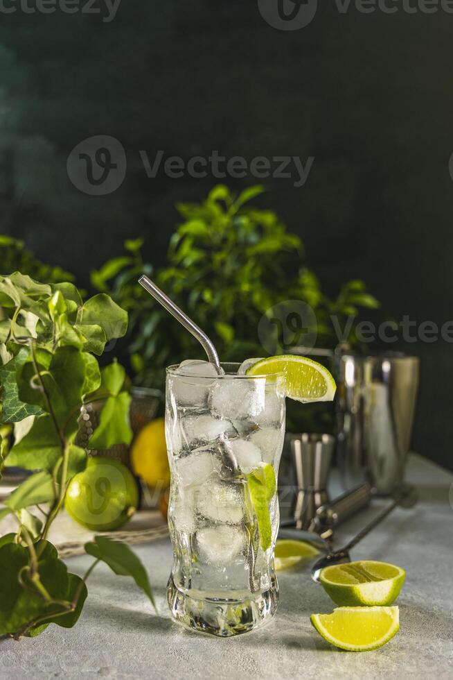 Refreshing gin and tonic cocktail garnished with lime and metal straw photo
