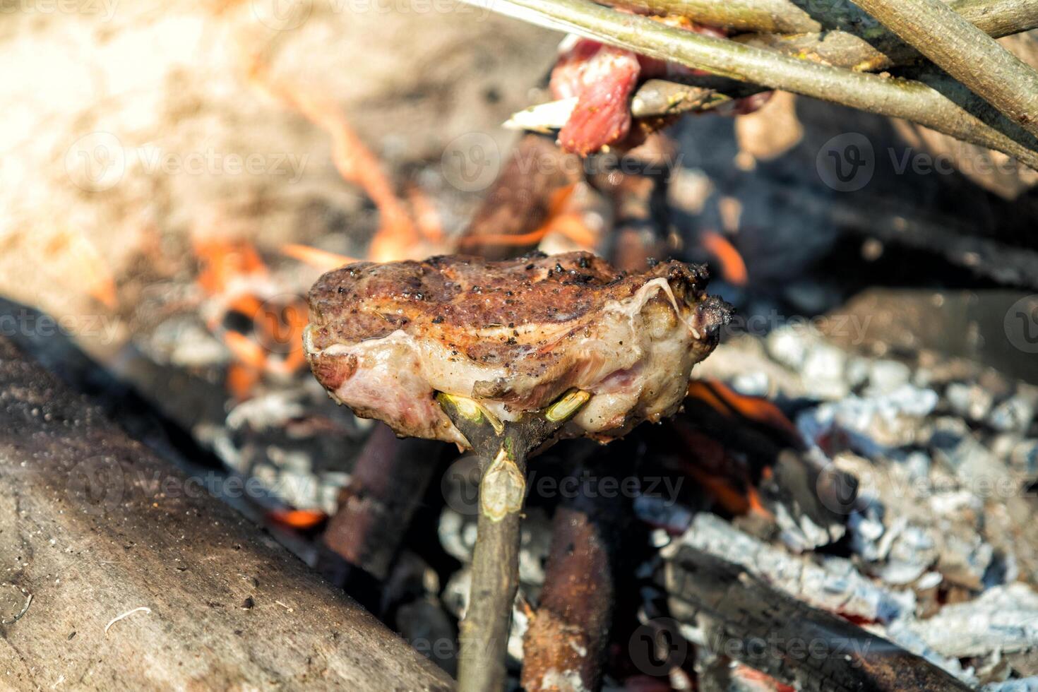 Cooking meat on a stick over a campfire, grilling outdoors photo
