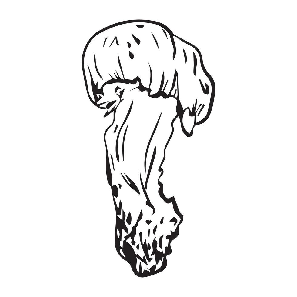 Flat illustration Polish mushroom, hand drawn in graphic style. Mushroom for design. illustration vector