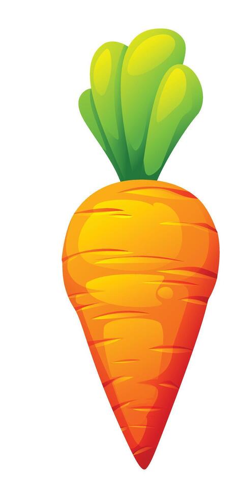 Fresh carrot cartoon illustration vector