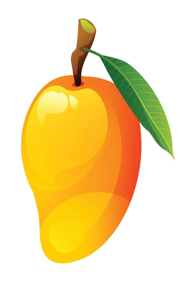 Fresh mango with leaf on top. Cartoon illustration vector